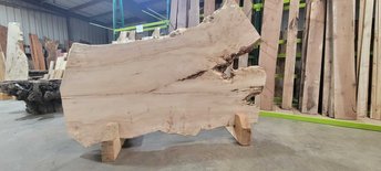 Silver Maple Slab Lumber