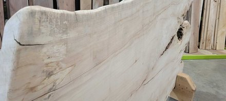 Silver Maple Slab Lumber