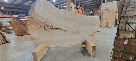 Silver Maple Slab Lumber