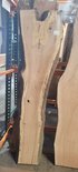 California White Oak / Valley Oak Slab Lumber