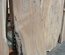Claro Walnut Slab Lumber