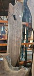 Claro Walnut Slab Lumber
