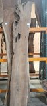 Claro Walnut Board Lumber