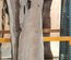 Claro Walnut Board Lumber