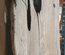 Claro Walnut Board Lumber