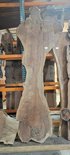 Claro Walnut Board Lumber